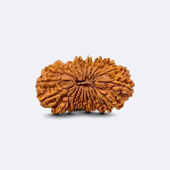 RUDRAKSHA